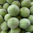 달봉농원 이미지