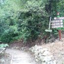 맹종죽테마공원 이미지