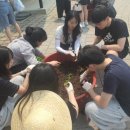 한방고등학교 이미지