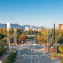 새나의원 이미지