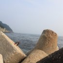 태종대모텔 이미지