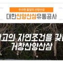 한국농약씨앗 이미지