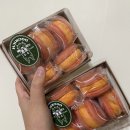 도그리치 이미지