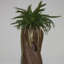 산동농업협동조합4공단지점 이미지