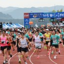 청도군-18 이미지