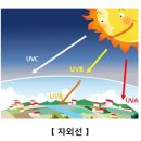 베드로 안경원 이미지