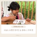 삼남매농장 | 프루떼×나무다 원어민 숲 클래스 체험 후기