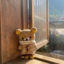 탑평소교량 | 충주 활옥동굴 철갑상어 보며 카약 체험 - 박쥐 볼 수 있는 이색체험 내돈내산 솔직후기