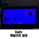 홍시약국 | 이달이 아닌 몇달간의 일상 나 이렇게 잘 살아있다