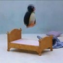 잠시섬 빌리지 이미지