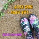 수레로3 이미지