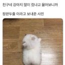 멈무