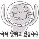 안녕 댕댕아 이미지