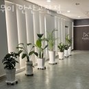 마무이 | 안산 고잔동 미용실 마무이 안산고잔점 업체 정보 후기