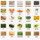 효소발효와 건강식이 이미지