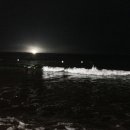 금진민박 이미지