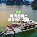 팀옥토퍼스 | 하롱베이 여행 ｜ 씨 옥토퍼스 크루즈 후기 ① 탑승 전부터 기대 가득