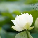 경주 한복대여 플렉서블&amp;아드레스