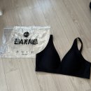 스타 바디핏 | 라크네 심리스 바디핏 브라 솔직 후기