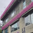 니멍내멍 이미지