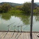 평촌낚시터 이미지