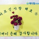 메디힐요양병원 이미지