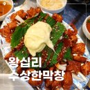 방배로28길 40 (1) | 왕십리 막창 추천 수상한막창 2호점 살면서 먹어본 막창 중 최고 내돈내산 후기