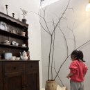 서울삼일교회 | 은평구카페 추천 주차가능한 카페 일월삼일 (휘낭시에 맛집)