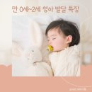 아이기록)만 0세-2세 영아의 발달 특징 이미지