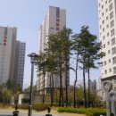 푸른숨마트 이미지