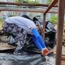 보수농장 이미지