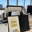 푸르댕댕 | [푸르댕댕] 청주 오프리쉬 애견카페 추천, 넓은 잔디밭 애견운동장