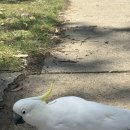 주식회사 포비 이미지