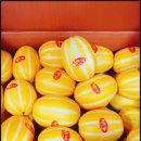 후니농장 이미지