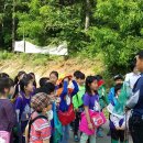 가온초교 이미지