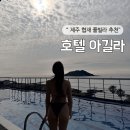 아길라 | 제주 협재 숙소 추천, 호텔아길라 내돈내산 후기 (feat. 수영장, 자쿠지 무료 )