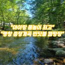 007흥정계곡 반딧불캠핑장 | 아이랑 물놀이하기 딱! 평창 흥정계곡 반딧불 캠핑장 리뷰