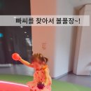 11545-02-37-24 | 서울 아기랑 갈만한 곳, 두돌 아기와 빠씨를 찾아서 후기, 북서울꿈의숲 상상톡톡미술관 주차 정보
