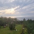 라르고 힐 이미지