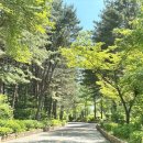 카페 나인블럭 [내돈내산] 후기