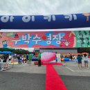 제천족구장 족구장 이미지