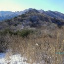 삼거리축사 이미지