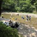 이집이좋겠네 누룽지백숙 후기, 애견동반 가능 장흥계곡맛집