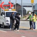 6시내고양이 이미지