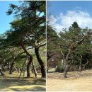 솔밭공원 이미지