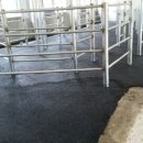 서울대학교 대동물병원 이미지