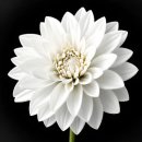 아름다운기억 이미지