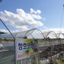 향호농장 이미지