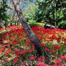 01-87 동구 이미지