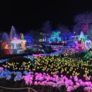 혁신체육공원 | 포항국제불빛축제 2025, 여름밤의 판타지